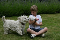 Dog